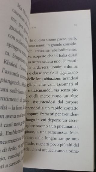 UN GIORNO DA CANI Melania G. Mazzucco.