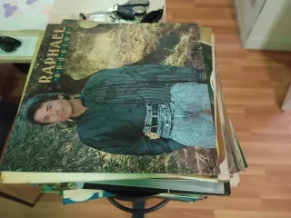 Lote 89 Vinilos Flamenco, Pop, Latino