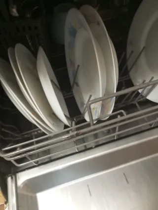 Lavavajillas plateado