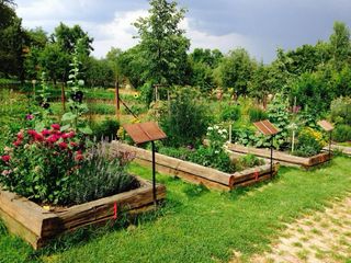 Jardinero / proyectos de jardín