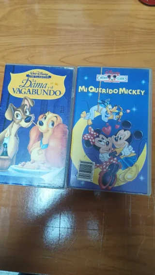 Película VHS Vickie el Vikingo y Fantasía 2000