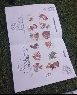 Libros y bol patrulla canina