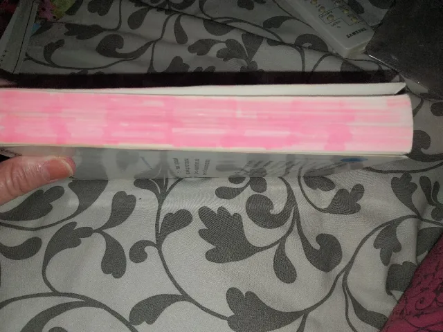 Cuando Hitler robó el conejo rosa