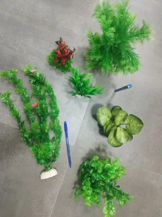 Decoración acuario plantas + caracoles