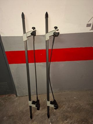 Barras de Baca Coche