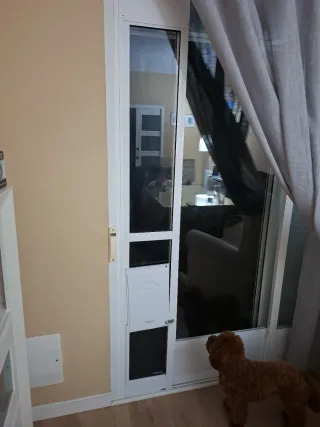 Puerta ajustable perros