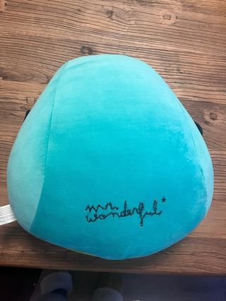 Cojines Mr. Wonderful de gato y aguacate