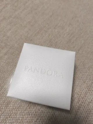 Pulsera Rígida Pandora 18cm Plata