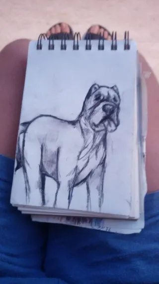 Disegni personalizzati a mano