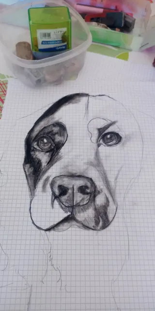 Disegni personalizzati a mano