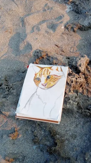 Disegni personalizzati a mano