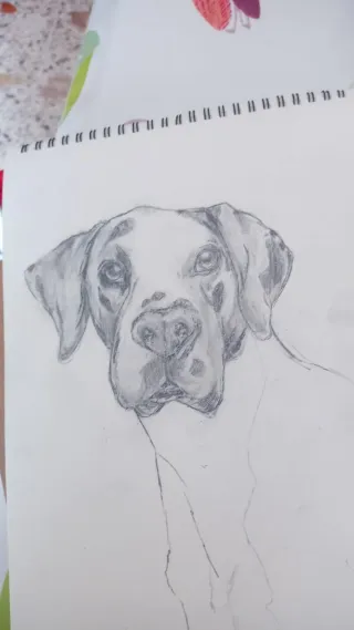 Disegni personalizzati a mano