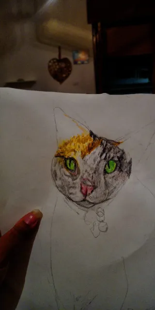 Disegni personalizzati a mano