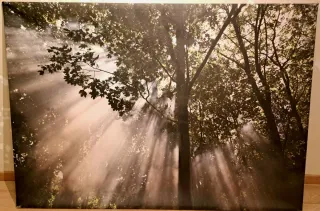 Cuadro mural "Crescendo of light" IKEA