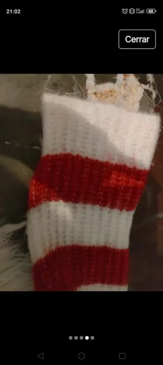 Jersey rayas rojas y blancas