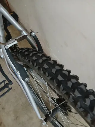 Bicicleta de montaña plateada