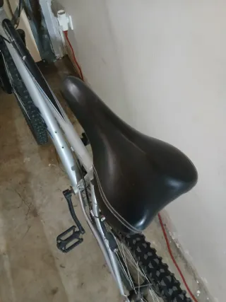 Bicicleta de montaña plateada