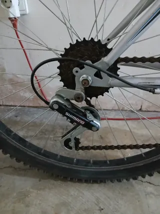 Bicicleta de montaña plateada