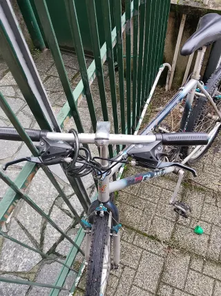 vendesi Mountain bike FL MD(SOLO OER OGGI)