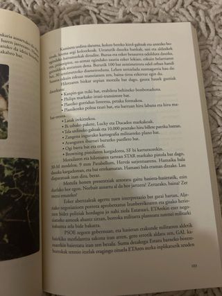 Irunberri, 1990 Arroilaren Negarra