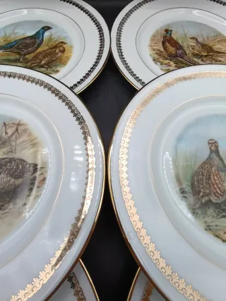 Set 6 Platos Porcelana Limoges Caza