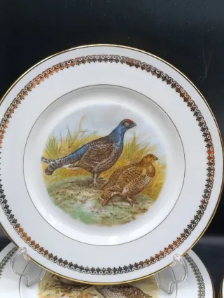 Set 6 Platos Porcelana Limoges Caza