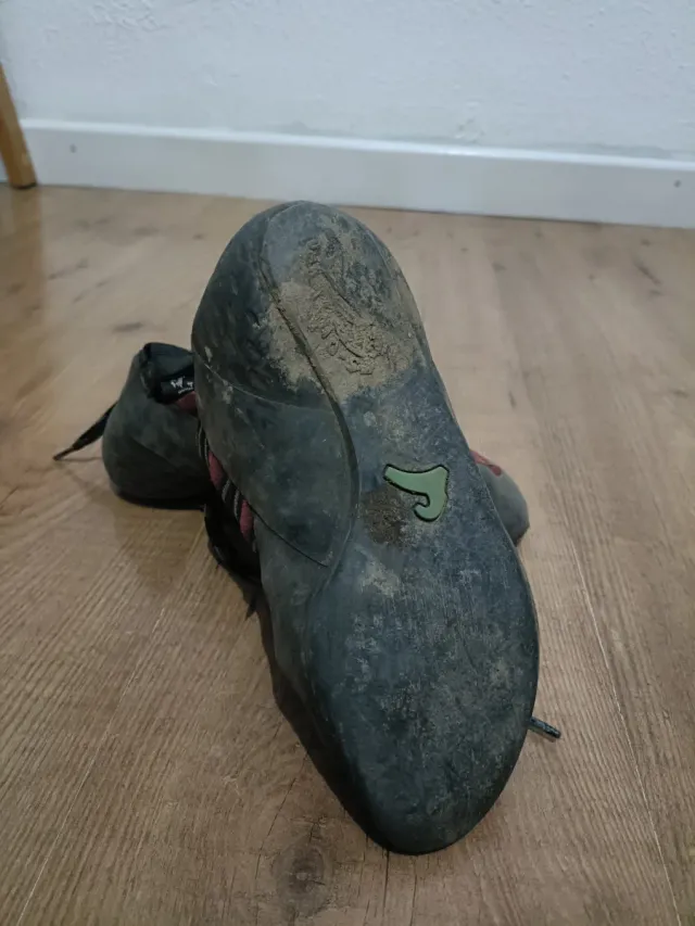 Pies de gato Boreal Stingma