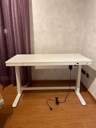 Escritorio Elevable Blanco Flexispot recogida