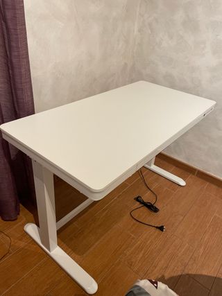Escritorio Elevable Blanco Flexispot recogida
