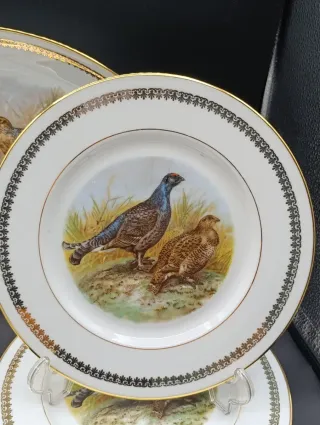 Vajilla Limoges 6 servicios