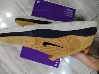 Scarpe Nike SB Vertebrae Beige/Blu