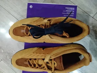 Scarpe Nike SB Vertebrae Beige/Blu