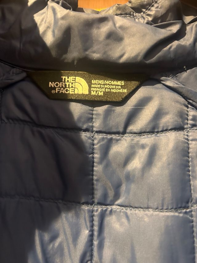 Chaqueta The North Face Gris