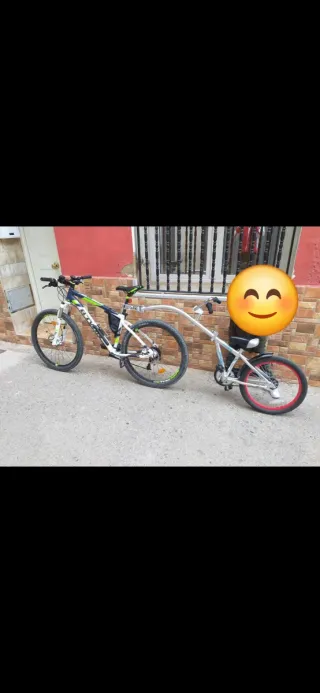 Wee Rider Tandem