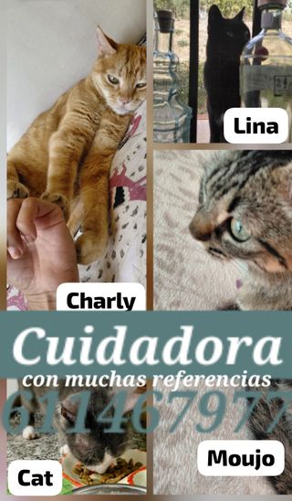 Cuidadora MASCOTAS