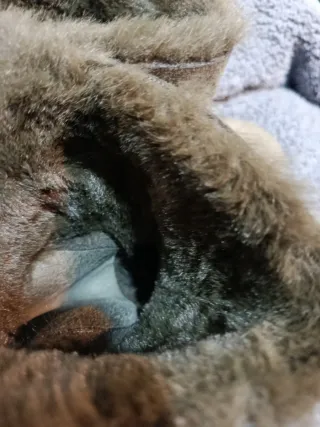 Botas de invierno con pelo