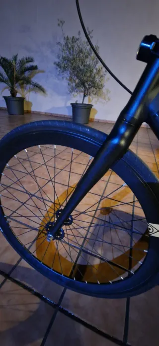 Bicicleta Fixie 3 velocidades