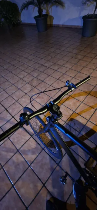 Bicicleta Fixie 3 velocidades