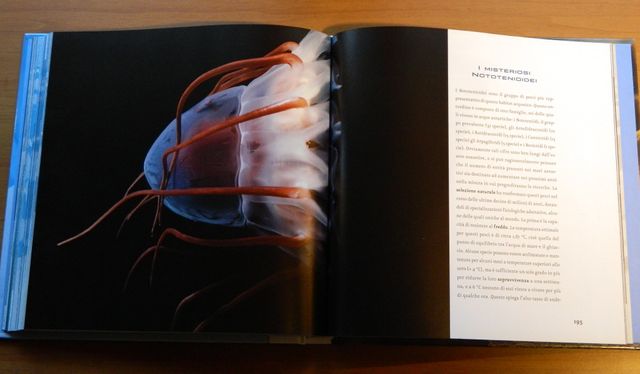 Atlante: I Pinguini e gli animali del polo Sud