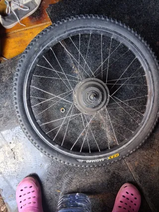 Motor Bicicleta Eléctrica 48V