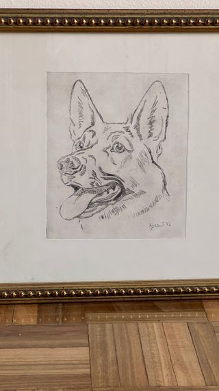 Grabado Pastor Alemán 1992