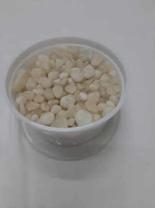 Piedras naturales blancas/beige decoracion plantas