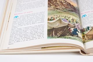 La Bibbia illustrata 5 volumi rilegati Fabbri '62