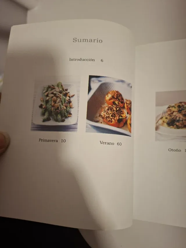 101 Delicias de temporada (Spanish Edition)