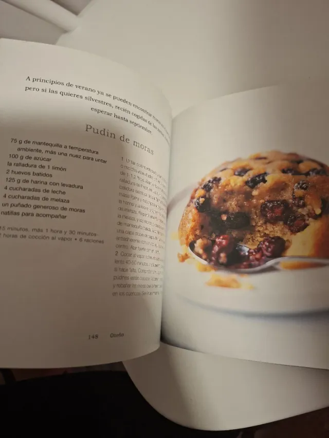 101 Delicias de temporada (Spanish Edition)