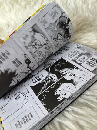 My Hero Academia nº 01