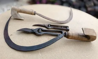 Lote de hoces y podaderas antiguas