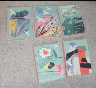 Lote 5 Libri Classici Illustrati