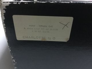 Costume Carnevale Bambina Rosa Pizzo Tulle