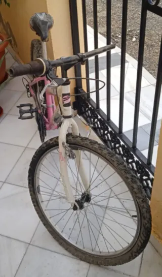 Bicicletas de niña de 24 pulgadas.